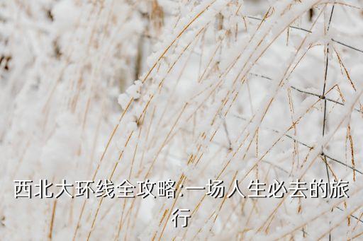 民乐县扁都口国际大酒店,甘肃民乐县扁都口