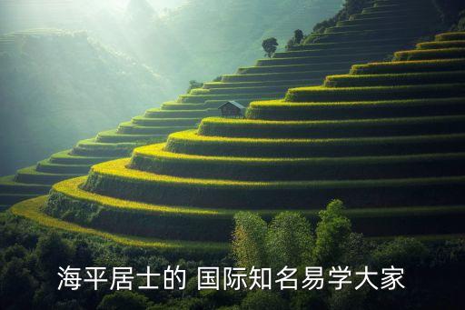 海平居士的 国际知名易学大家