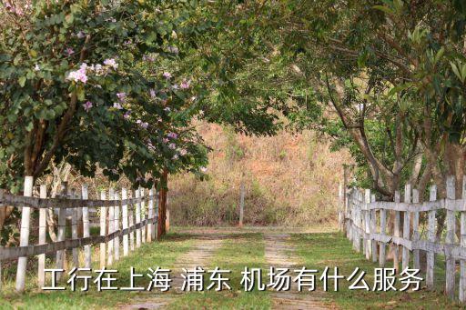 工行在上海 浦东 机场有什么服务