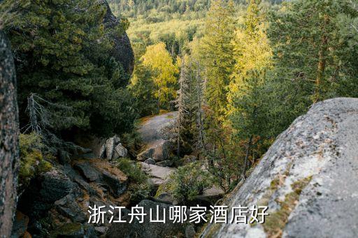 浙江舟山哪家酒店好
