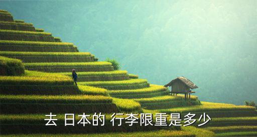 去 日本的 行李限重是多少