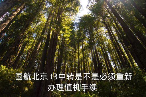 t3国际转国内国航,国航为什么不能转国内航空