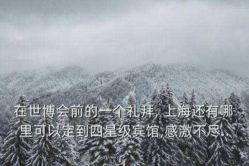 在世博会前的一个礼拜, 上海还有哪里可以定到四星级宾馆,感激不尽...
