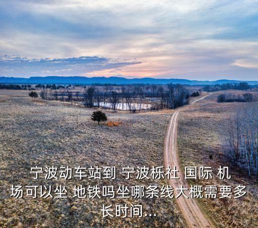  宁波动车站到 宁波栎社 国际 机场可以坐 地铁吗坐哪条线大概需要多长时间...