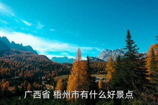 梧州国际娱乐汇,梧州晚上娱乐的地方