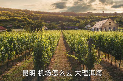  昆明 机场怎么去 大理洱海