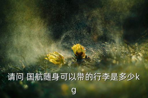 请问 国航随身可以带的行李是多少kg