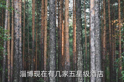 淄博现在有几家五星级酒店