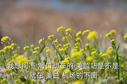 我想问下 海口动车的 美兰站是不是就在 美兰 机场的下面
