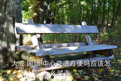 大成 国际 中心交通方便吗应该怎么过去