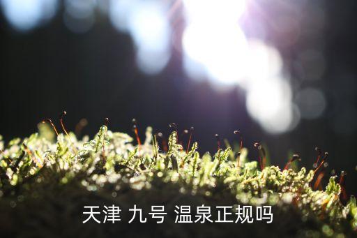 九号温泉(英豪国际酒店) 评论
