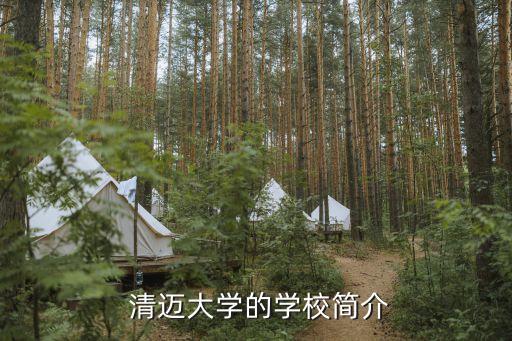  清迈大学的学校简介