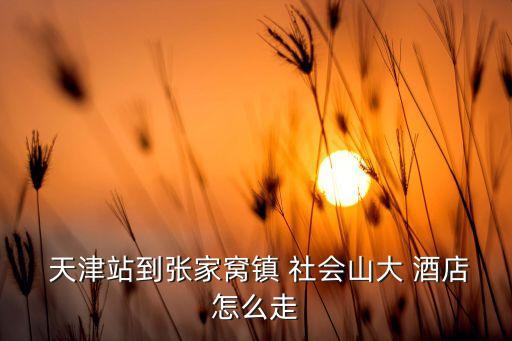 天津社会山国际会议酒店交通,天津市西青区社会山国际会议酒店