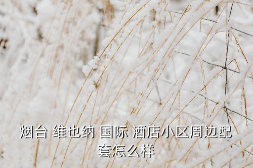 烟台 维也纳 国际 酒店小区周边配套怎么样