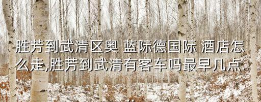 泰达离奥蓝际德国际酒店多远