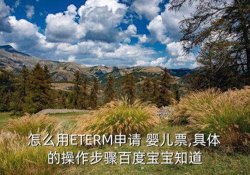 怎么用ETERM申请 婴儿票,具体的操作步骤百度宝宝知道