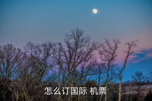 国外购买机票,国外机票在哪买