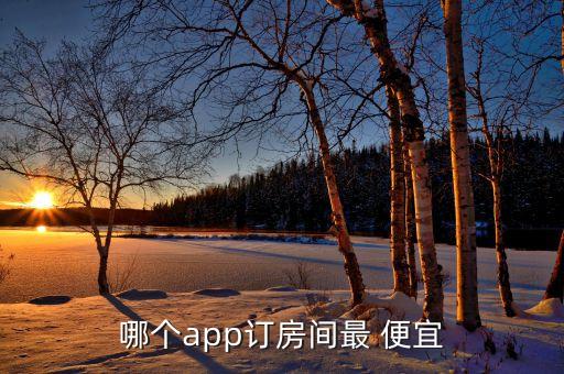 国际酒店哪个网站便宜吗,订酒店哪个app最便宜