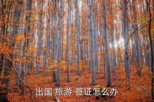 出国 旅游 签证怎么办