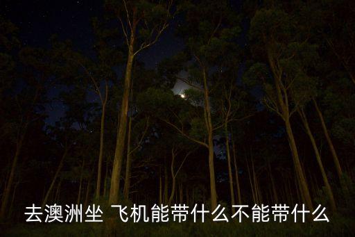 去澳洲坐 飞机能带什么不能带什么