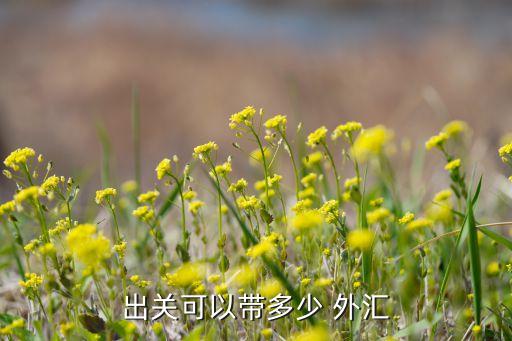 中国外汇出境限制,中国出境限制最新消息