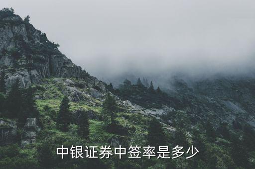 中银证券中签率是多少