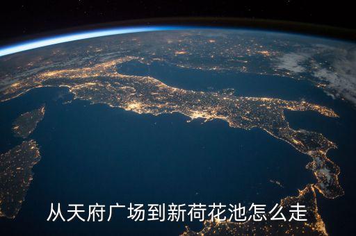 从天府广场到新荷花池怎么走