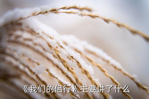 《我们的侣行》主要讲了什么