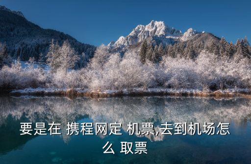 要是在 携程网定 机票,去到机场怎么 取票