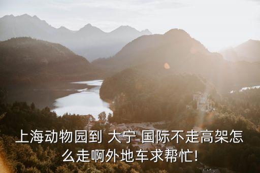 大宁国际怎么走,大宁菜市场怎么走
