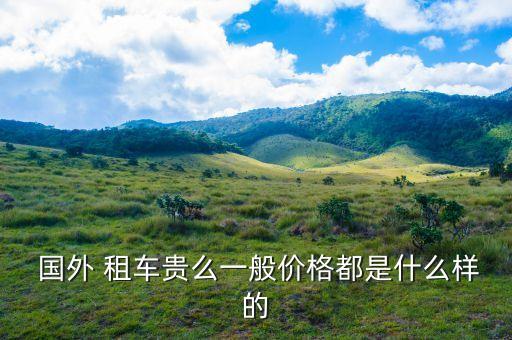 国外租车一嗨,一嗨租车24小时客服热线