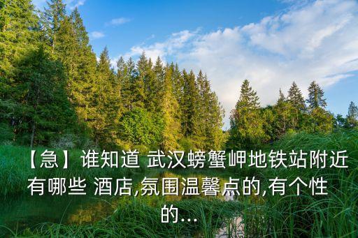武汉武昌区友谊国际酒店房价,武昌区友谊大道19号(友谊国际酒店)