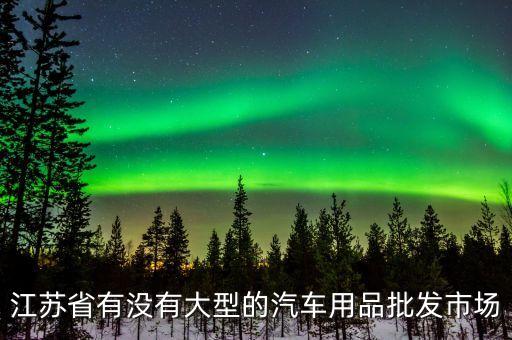 江苏省有没有大型的汽车用品批发市场