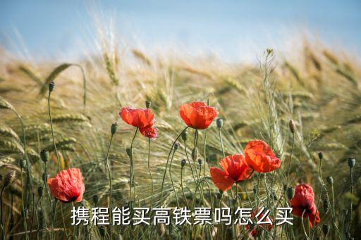  携程能买高铁票吗怎么买