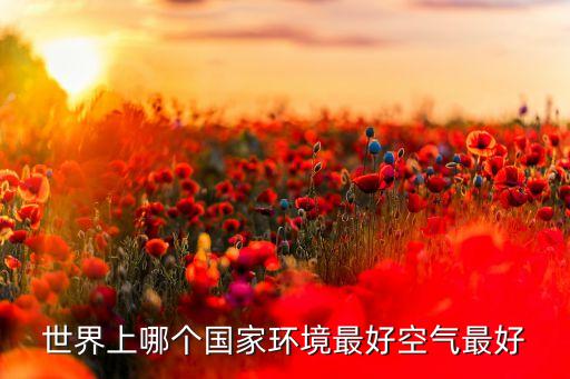 世界上哪个国家环境最好空气最好