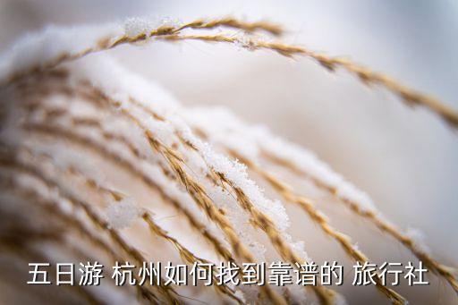 五日游 杭州如何找到靠谱的 旅行社