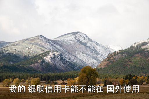 我的 银联信用卡能不能在 国外使用