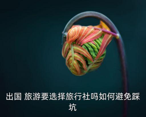 出国 旅游要选择旅行社吗如何避免踩坑