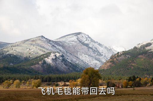 飞机毛毯能带回去吗