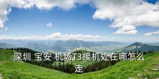 深圳 宝安 机场T3接机处在哪怎么走