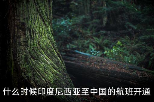 什么时候印度尼西亚至中国的航班开通