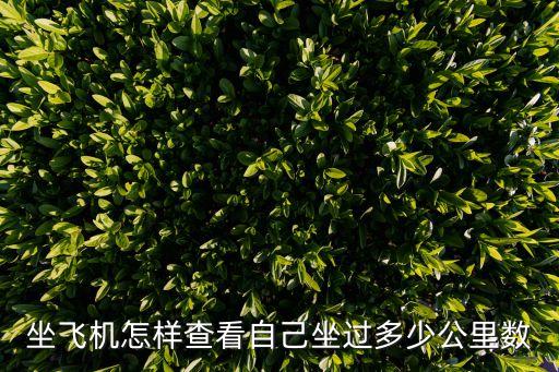 坐飞机怎样查看自己坐过多少公里数