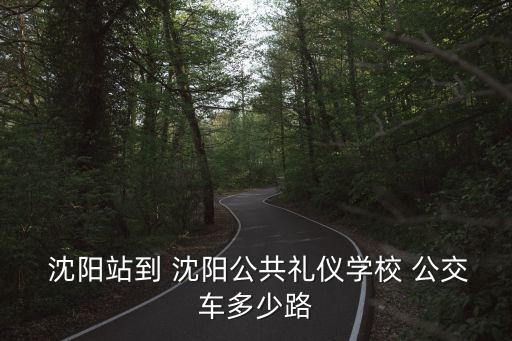  沈阳站到 沈阳公共礼仪学校 公交车多少路