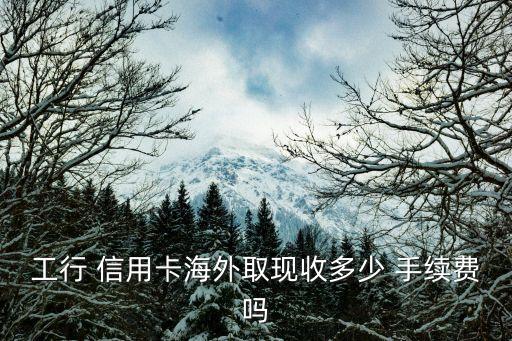 工行 信用卡海外取现收多少 手续费吗