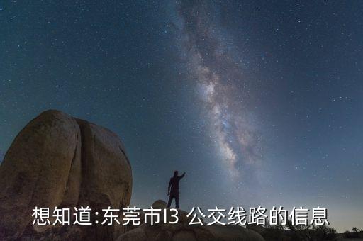 想知道:东莞市I3 公交线路的信息
