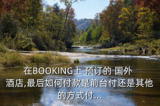 在BOOKING上 预订的 国外 酒店,最后如何付款是前台付还是其他的方式付...