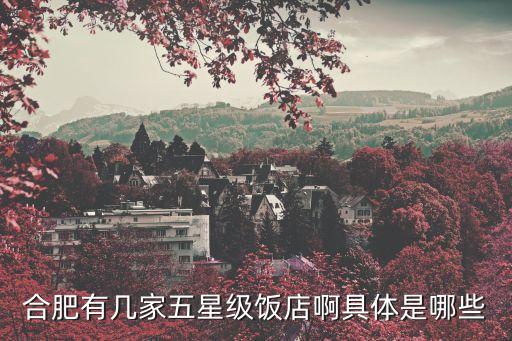 合肥有几家五星级饭店啊具体是哪些
