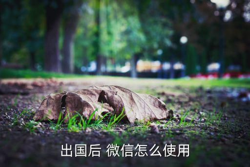 出国后 微信怎么使用