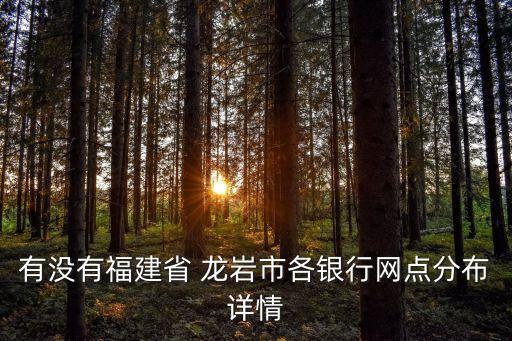 有没有福建省 龙岩市各银行网点分布详情