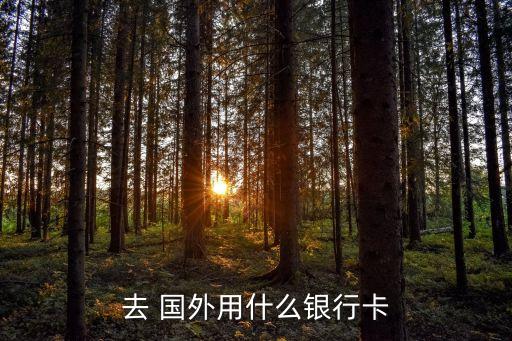 国外消费用储蓄卡,工商银行有在可以在国外消费的储蓄卡吗